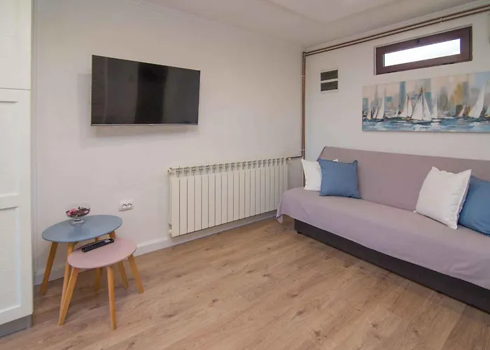 Apartament In 33734